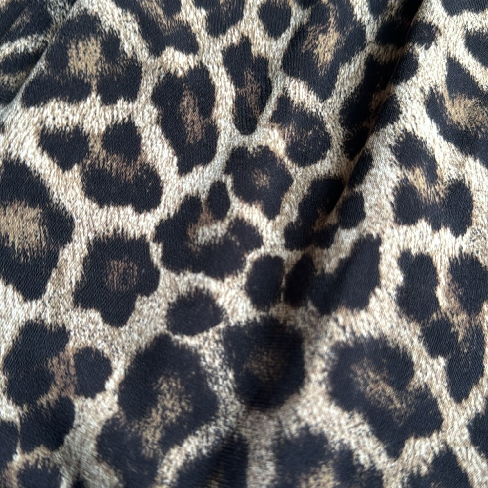 Leopard Dress - Picture 16 of 16